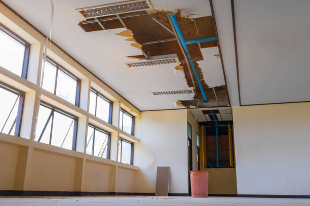 Best Basement water damage restoration  in Cross Plains, WI
