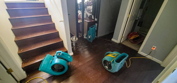 Best Water damage restoration cost  in Cross Plains, WI