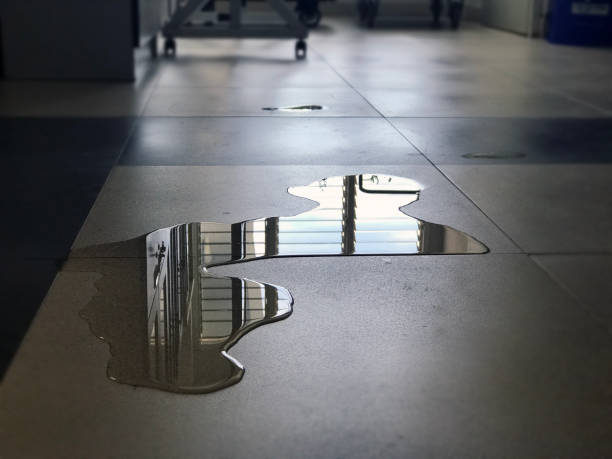 Best Water damage restoration near me  in Cross Plains, WI