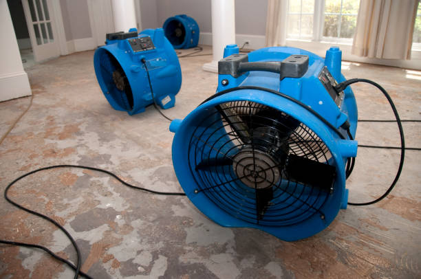 Best Water damage restoration near me  in Cross Plains, WI
