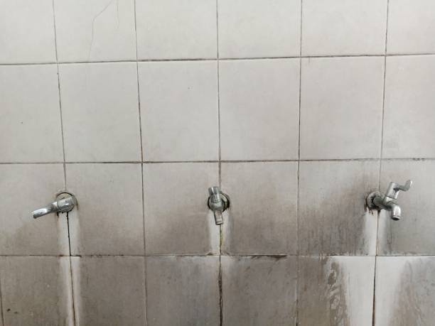Best Emergency water damage restoration  in Cross Plains, WI