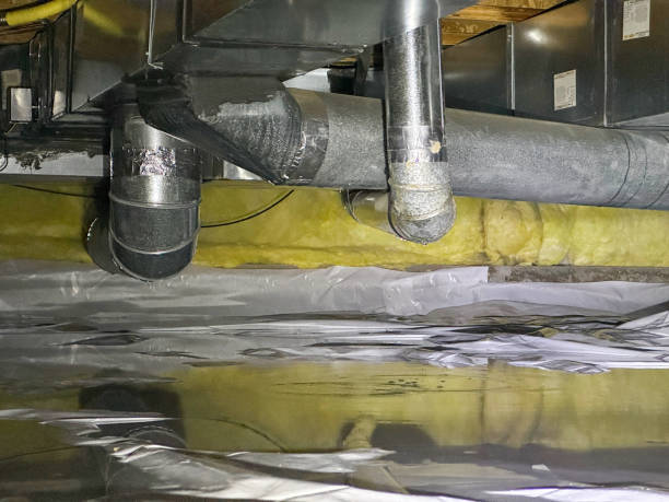 Best Water damage contractors near me  in Cross Plains, WI