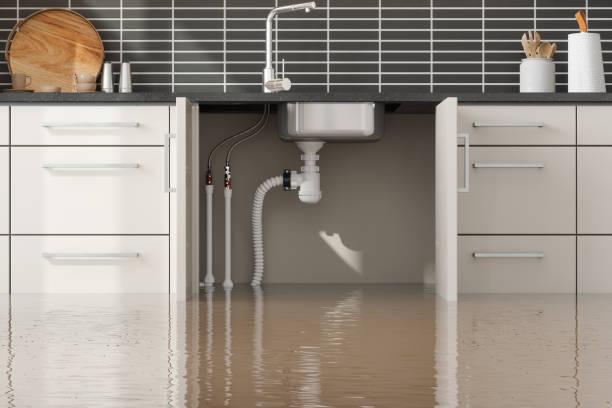 Best Emergency water damage restoration  in Cross Plains, WI