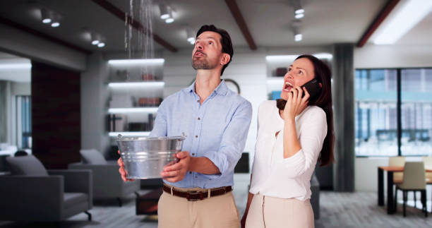 Best Water damage cleanup near me  in Cross Plains, WI