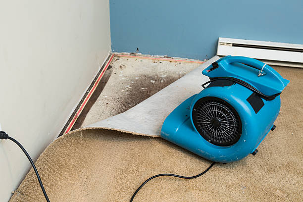  Cross Plains, WI Water damage restoration Pros