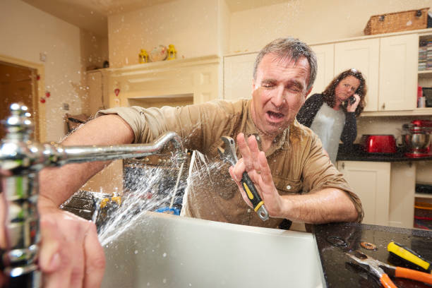 Best Water damage cleanup near me  in Cross Plains, WI